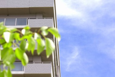 Şehirdeki modern mimari ve yeşil yapraklar