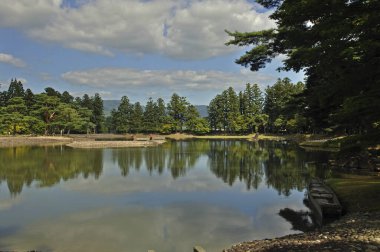 Yeşil ormanın ortasında bir göl. 