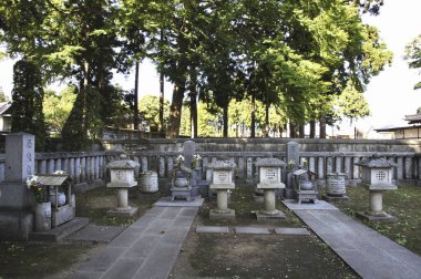 Yazın Japon tarihi tapınağı