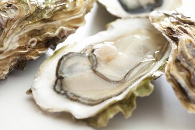 Beyaz arka planda taze gurme istiridyelerin yakın plan görüntüsü 