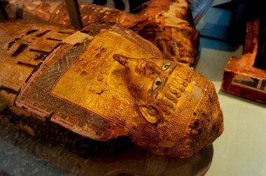 Eski Mısır Mısır Müzesi, Mısır Müzesi,