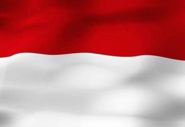 Endonezya Ulusal Bayrağı