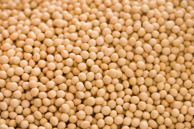 Soya fasulyesi, manzarayı kapat