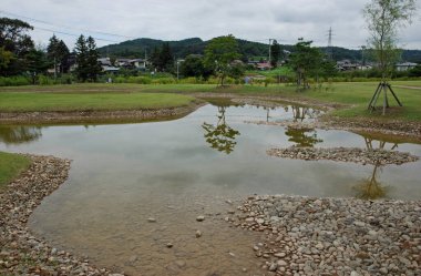 Havuzu ve parkta yeşil ağaçları olan güzel bir manzara.         