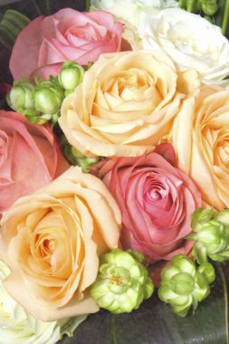 Güzel bahar çiçekleri, yakın çekim manzarası. 