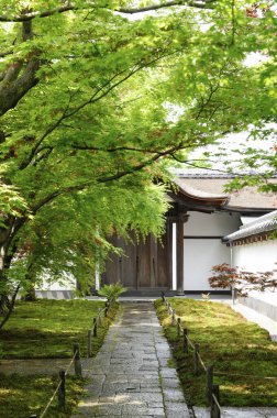 Güzel antik Japon tapınağı mimarisinin manzaralı bir resmi.