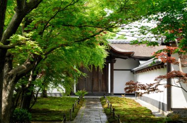 Güzel antik Japon tapınağı mimarisinin manzaralı bir resmi.