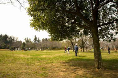 Parktaki insanlar şehrin tadını çıkarıyorlar..