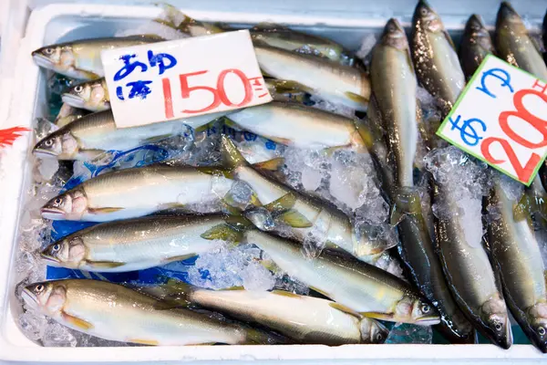 市场上新鲜的鱼 — 图库照片