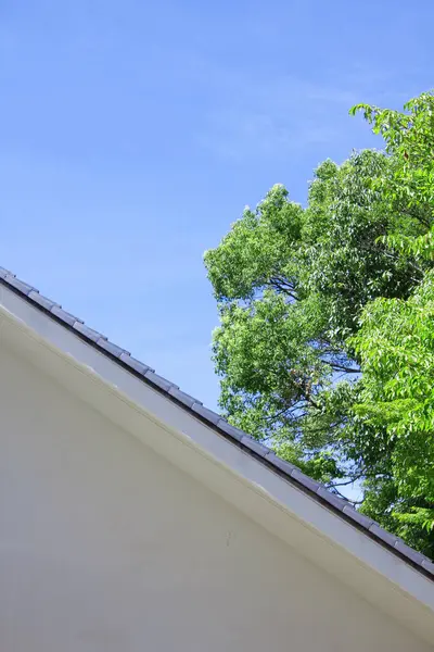 Dach Mit Grünem Baum Und Blauem Himmel — Stockfoto