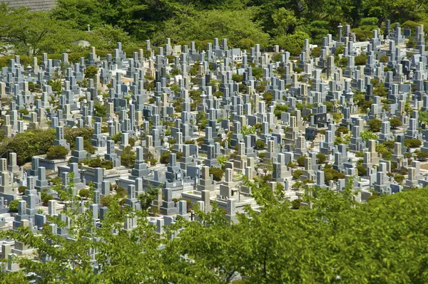 Schöner Ruhiger Friedhof Mit Gräbern Sommer Japan — Stockfoto