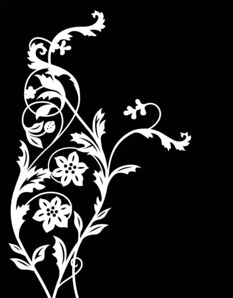 Modèle Floral Abstrait Noir Blanc — Photo