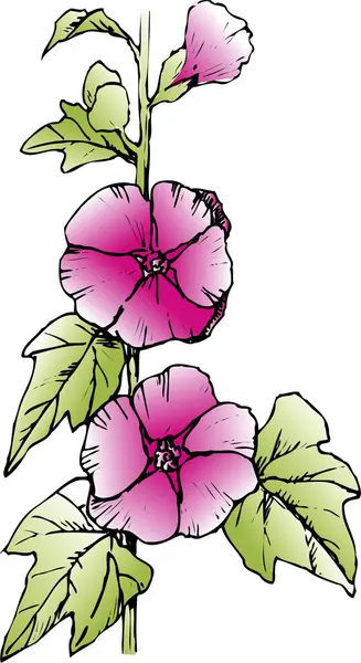 色彩斑斓的手绘花朵 与白色隔离 — 图库照片