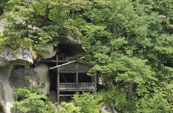 Yeşil orman ve ahşap evin güzel manzarası. 