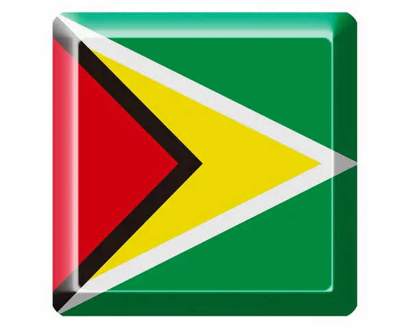 Bandeira Nacional Guyana — Fotografia de Stock