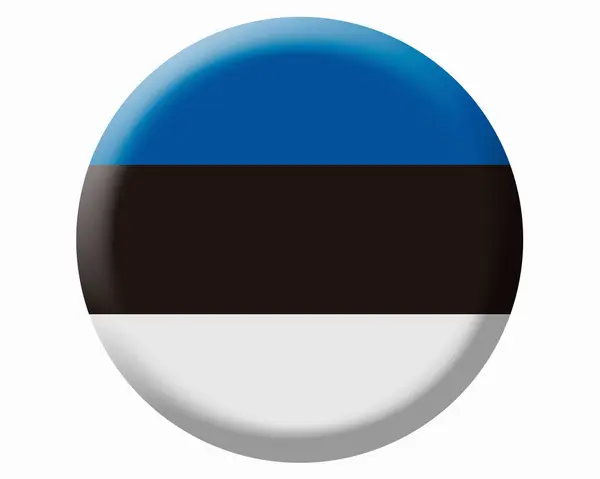 Estonia Flag Glossy Button — Stock Photo, Image