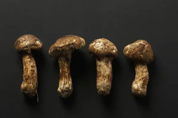 黑色背景的新鲜有机蘑菇特写 — 图库照片