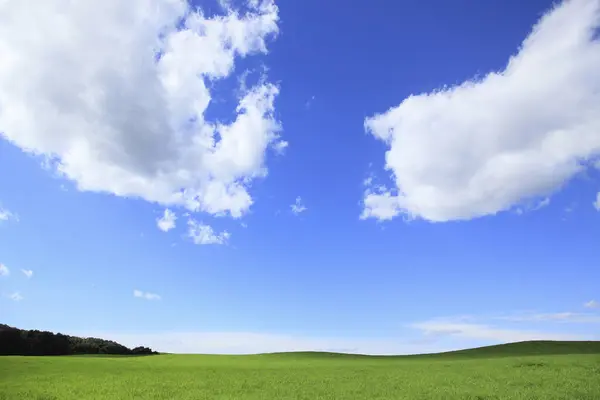 Nubes Blancas Cielo Azul Vista Diurna — Foto de Stock