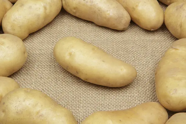 Potatoes Burlap — Stock Photo, Image
