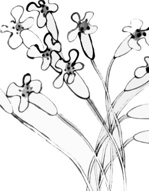 Çiçekli arka plan, çiçekli güzel doku.