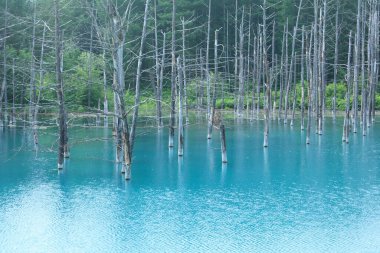 Mavi göller ve orman, Plitvice Gölleri Parkı