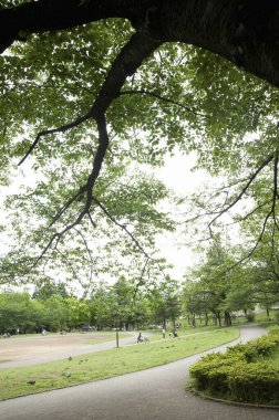 Huzurlu parkın yakınında yürüyen insanlar.