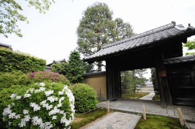 Güzel antik Japon tapınağı mimarisinin manzaralı bir resmi.