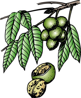 Beyaz saçlı, yeşil boynuzlu bir canavarın sıcak bir bahar banyosunun keyfini çıkardığı bir tasvir..