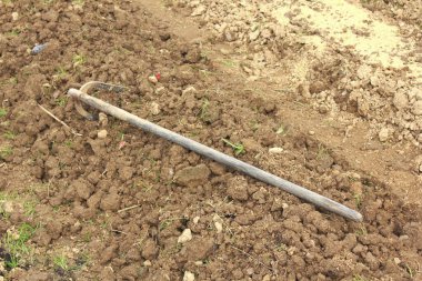 Metal tool lying on freshly turned brown soil
