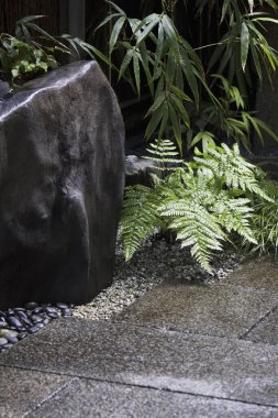 Parktaki bitkilerle çevrili taş patikanın güzel manzarası..