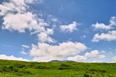 Mavi gökyüzü ve beyaz bulutlu yeşil tepeler