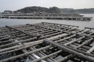 Yüzen bambu balığı tarım yapıları sakin su yüzeyine yayılıyor.