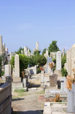 Japonya 'daki Japon mezar taşları ve mezarlığı