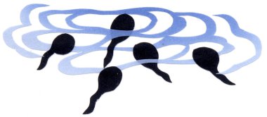 Suyun içinde yüzen iribaşların suluboya çizimi.