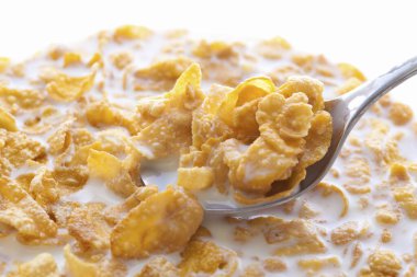 Kaşık kepçesi sütte mısır gevreği