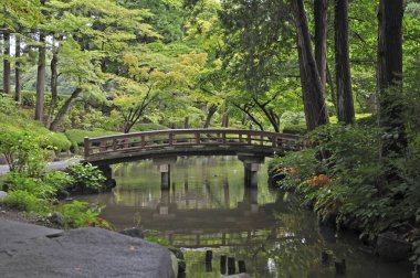 Yeşil ağaçları, göleti ve köprüsü olan güzel Japon bahçesi.