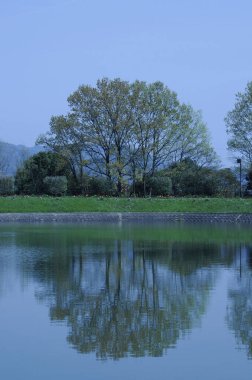 Sabahları göl manzarası