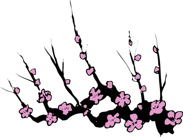 Kiraz Çiçek Şube — Stok fotoğraf