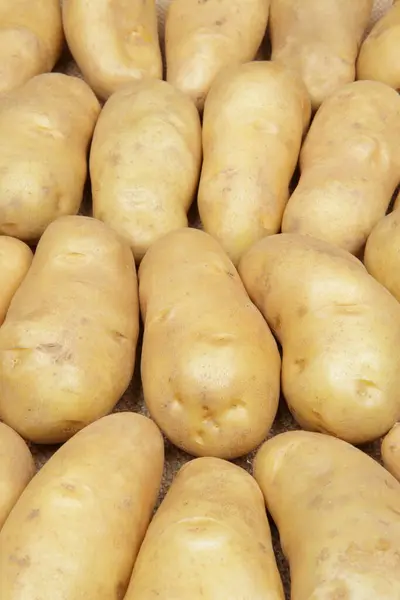 Raw Potatoes Market — Stock Photo, Image