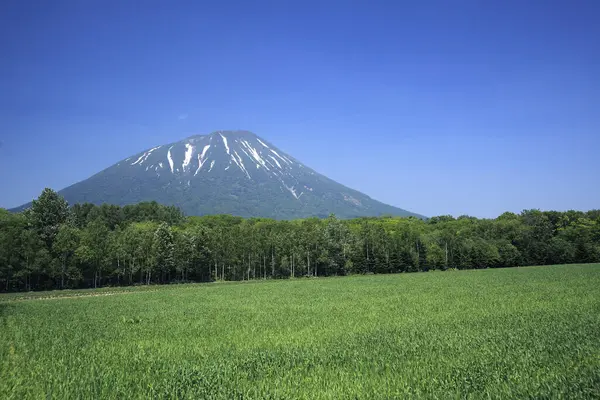 Bela Vista Montanha Fuji Hora Dia — Fotografia de Stock