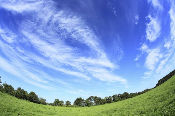 Prado Verão Verde Sob Céu Nublado Vista Diurna — Fotografia de Stock