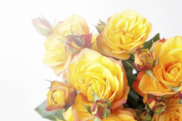 Bouquet Beautiful Yellow Roses White Background — Stock Photo, Image