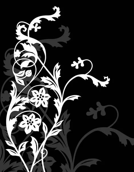 抽象黑白花卉图案 — 图库照片