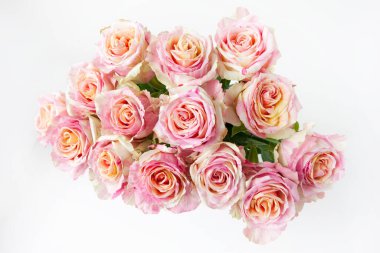 Beyaz arka planda güzel pembe güller