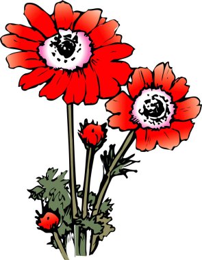 Güzel kırmızı çiçek arkaplanının çizimi