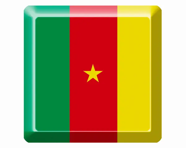Bandeira Nacional Camarões — Fotografia de Stock