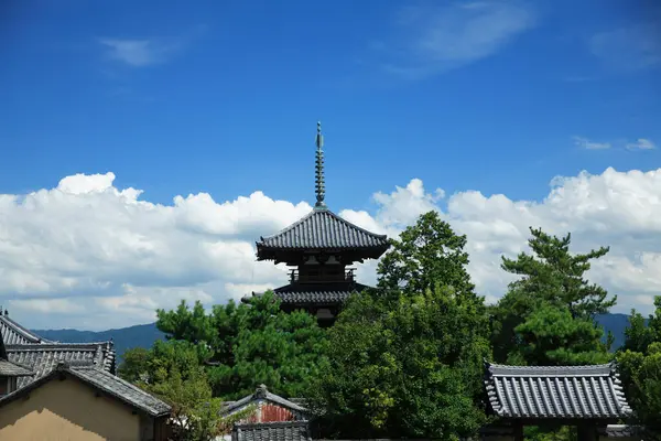 Widok Świątyni Horyu Skarb Narodowy Japonii — Zdjęcie stockowe