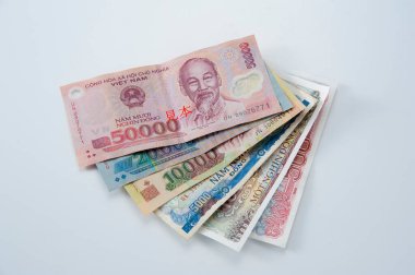 Çeşitli Vietnam banknotlarının görüntüsünü kapat