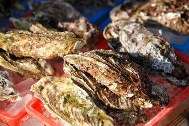 Buzdaki taze istiridye manzarasını kapatın. 