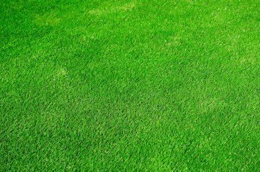 Yeşil çim doku arka plan, üstten görünüm 